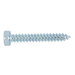 DIN 7976 staal verzinkt vorm C met punt - 6K-BOUT-DIN7976-C-SW10-(A2K)-6,3X13