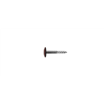 A2 roestvast staal gevelschroef, TX - KLEURSCHR A2 TX20 4,8X38 A0881+BIT