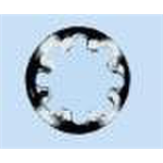 DIN 6797 staal galvanisch verzinkt, type JZ - TANDVEERR-DIN6797-JZ-(A2K)-D23,0