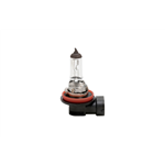 Halogeenlamp bedrijfswagen Basic - LAMP-H11-(PGJ19-2)-24V-70W