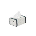 Poetsdoek Softex/Softex-light - SOFTEX DOEKJES 29X38CM DS A 500ST.