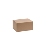 Kartonnen transportverpakking - PAC-TRANSPORTBOX-394X294X209MM