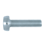 ISO 14583 staal 8.8 galvanisch verzinkt - SHR-PCLK-ISO14583-8.8-TX25-(A2K)-M5X8