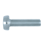 ISO 14583 gegalvaniseerd staal 4.8 - SHR-PCLK-ISO14583-4.8-TX25-(A2K)-M5X12
