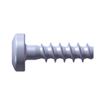 WÜPLAST W1452 staal 10.9 zink-nikkel lenskop TX - SHR-BCLK-W1452-T20-10.9-(P3E)-