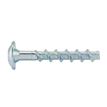 W-BS type P, panhead, St.vz. - ANC-(W-BS/P)-(A2K)-TX30-5-6X40