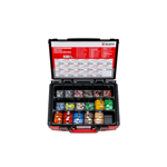 Platte zekering mini-maxi Sysko - ASSORTI ZEKERINGEN MINI/MAXI 170 DLG