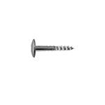 A2 roestvast staal gevelschroef, TX - KLEURSCHR A2 TX20 4,8X38 BLANK+BIT
