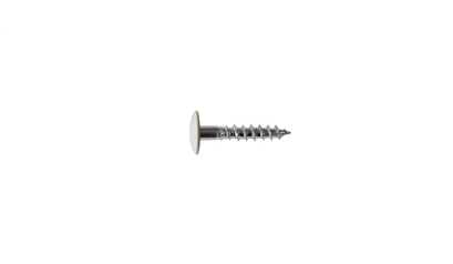 Wurth A2 roestvast staal gevelschroef, TX - KLEURSCHR A2 TX20 4,8X25 A0300+BIT - 019410300 005  100