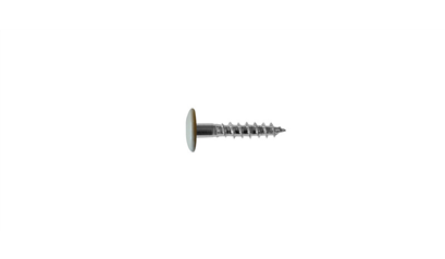 Wurth A2 roestvast staal gevelschroef, TX - KLEURSCHR A2 TX20 4,8X25 A0511+BIT - 019410511 005  100
