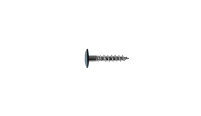 Wurth A2 roestvast staal gevelschroef, TX - KLEURSCHR A2 TX20 4,8X25 A2151+BIT - 019412151 005  100