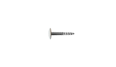 Wurth A2 roestvast staal gevelschroef, TX - KLEURSCHR A2 TX20 4,8X38 A0300+BIT - 019420300 005  100