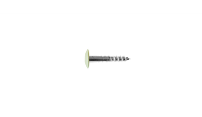 Wurth A2 roestvast staal gevelschroef, TX - KLEURSCHR A2 TX20 4,8X38 A0301+BIT - 019420301 005  100