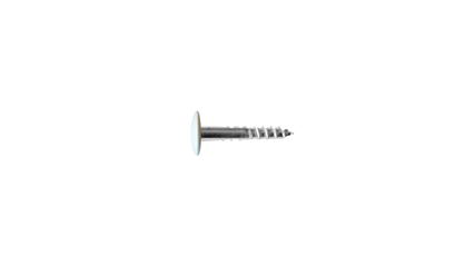 Wurth A2 roestvast staal gevelschroef, TX - KLEURSCHR A2 TX20 4,8X38 A0500+BIT - 019420500 005  100