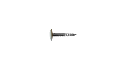 Wurth A2 roestvast staal gevelschroef, TX - KLEURSCHR A2 TX20 4,8X38 A0511+BIT - 019420511 005  100