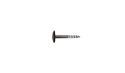 Wurth A2 roestvast staal gevelschroef, TX - KLEURSCHR A2 TX20 4,8X38 A0881+BIT - 019420881 005  100