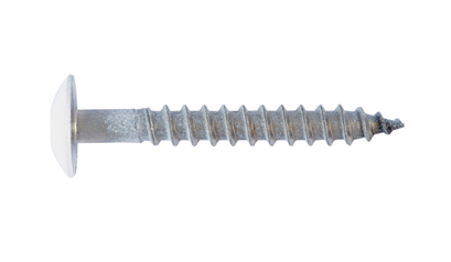 Wurth Gevelschroef W-FS - KLEURSCHROEF A2 TX20 RAL 9010 4,8X38 - 019448 380005  500
