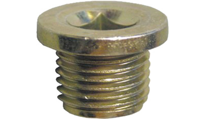 Wurth Olieaftapplug - CARTERPLUG-RENAULT-16X1,5X13 - 0243126001005   10