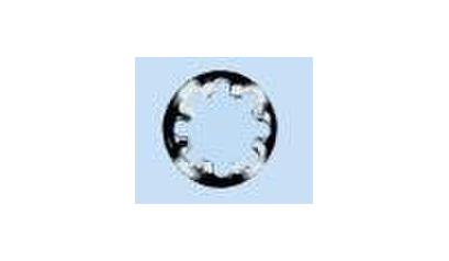 Wurth DIN 6797 staal blank, vorm JZ - TANDVEERR-DIN6797-JZ-D5,3 - 042405    092 2000