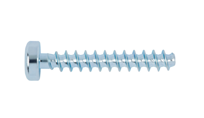 Wurth WÜPLAST W1452 staal 10.9 gegalv. lenskop TX - SHR-BCLK-W1452-T20-10.9-(A3K)-4X14 - 42284  14 092 2000