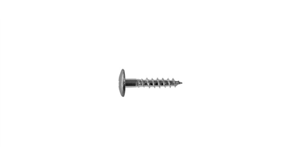 Wurth A2 roestvast staal gevelschroef, TX - KLEURSCHR A2 TX20 4,8X25 BLANK+BIT - NB0710333 005  100