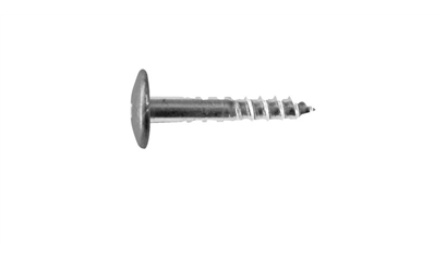 Wurth A2 roestvast staal gevelschroef, TX - KLEURSCHR A2 TX20 4,8X38 BLANK+BIT - NB0720333 005  100